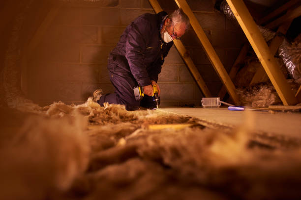 Best Geographic-Specific Insulation Services in Pocono Woodland Lakes, PA